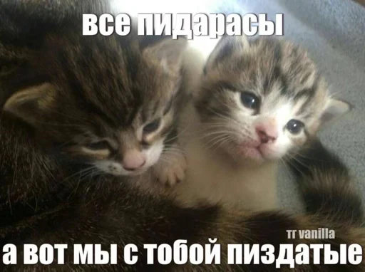 Создать стикеры|@EmojiRuBot Создать стикеры|@EmojiRuBot -