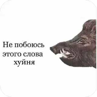 Стикер хэппихаус от KK - 11