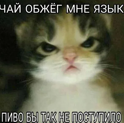 @sticksbb <— больше стиков💓💘💞 @sticksbb <— больше стиков💓💘💞 -