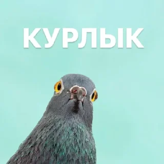 Стикер Создать стикеры|@EmojiRuBot - 0