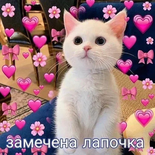 Больше стиков тут: @stikery4 Больше стиков тут: @stikery4 -