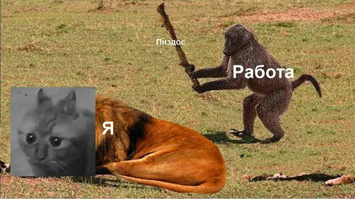 Работа пиздос Работа пиздос -