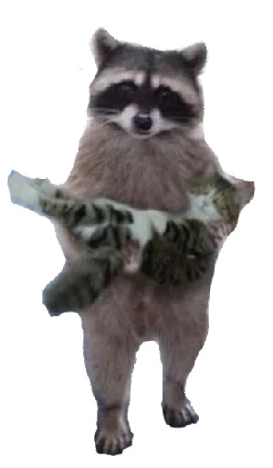 Енот Енот -