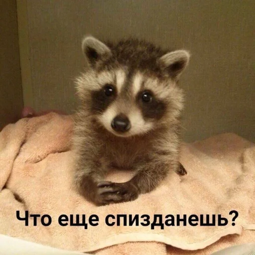 лучшие пикчи —-> @loveinpic лучшие пикчи —-> @loveinpic -
