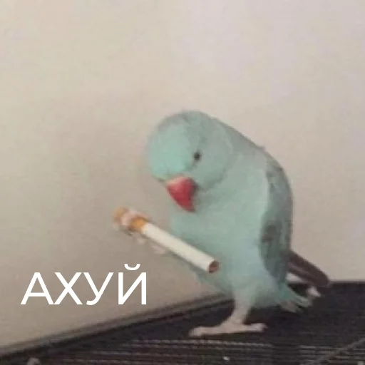 ПРОДАКШН ПРОДАКШН -