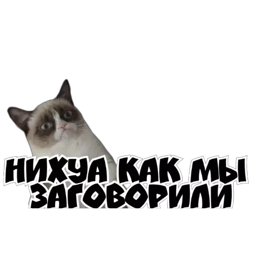 Rfn_Fwsqve Rfn_Fwsqve -