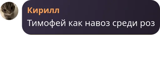 Рипипяошики Рипипяошики -