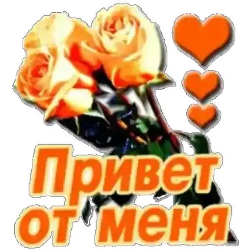 Rnv_MqXIFe Rnv_MqXIFe -