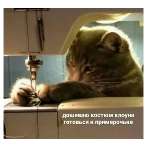 Рротперо Рротперо -