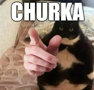 Sticker Российская Федерация🇷🇺 - 5