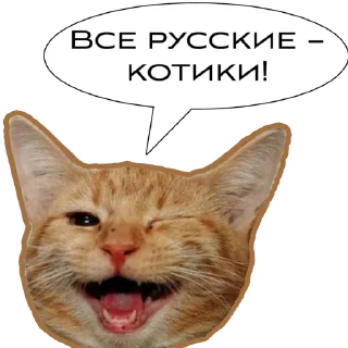 Sticker Первая Кошачья Дивизия @russkie_koti - 0