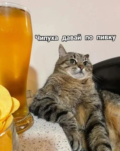 Ништяк @Stikerhi_bot Ништяк @Stikerhi_bot -