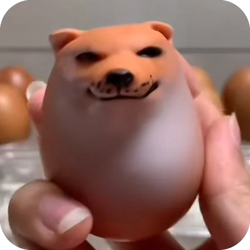 SHIBAKOOO SHIBAKOOO -