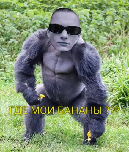 🤪 @ThemesRobot 🤪 @ThemesRobot -