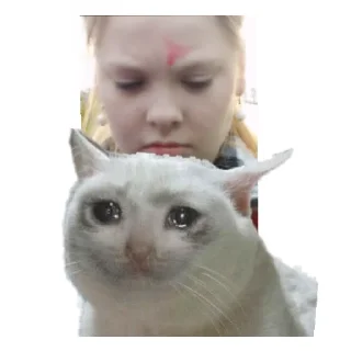 Sticker Шлюндра - 4 Sticker Шлюндра - 4