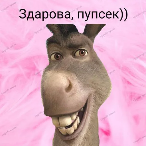 Какая-то фигня с чубриком (*•̀ᴗ•́*)و ̑̑ @Tgthemesrobot Какая-то фигня с чубриком (*•̀ᴗ•́*)و ̑̑ @Tgthemesrobot -