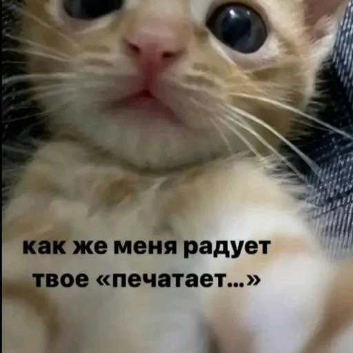 Хз ваще @Themki_robot Хз ваще @Themki_robot -