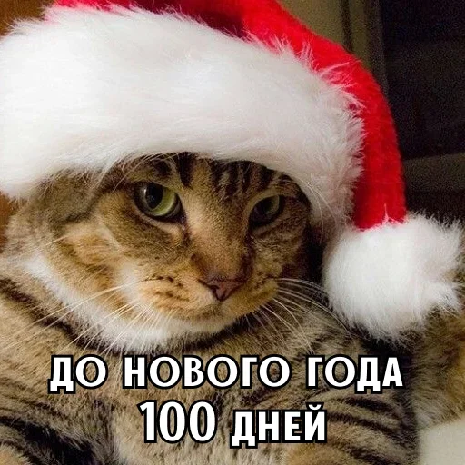 Больше стиков тут: @stikery4 Больше стиков тут: @stikery4 -