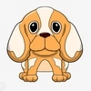 Cool Dog Cool Dog -