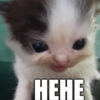 \•°So fuckin meow-meow°•\ \•°So fuckin meow-meow°•\ -