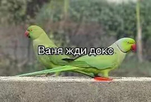 Жди докс @Tgthemesrobot Жди докс @Tgthemesrobot -