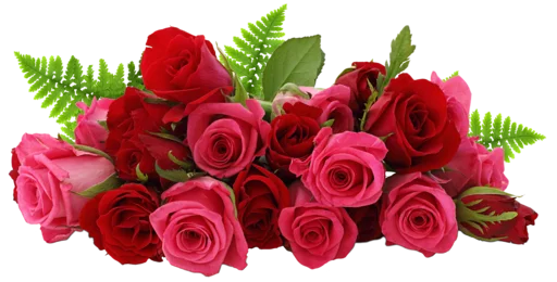 Flowers >> @Stickerabad Flowers >> @Stickerabad -