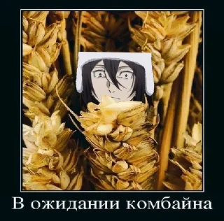 Стикер жёстки набор мем @StickersPackRobot - 11