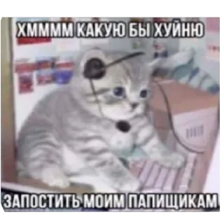 Стикер Китики KB_Wing @StickersPackRobot - 2