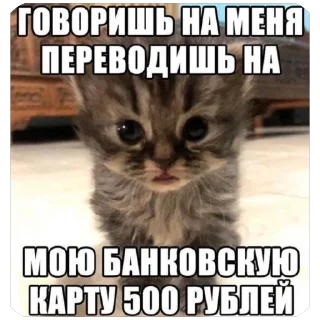 Стикер Китики KB_Wing @StickersPackRobot - 11