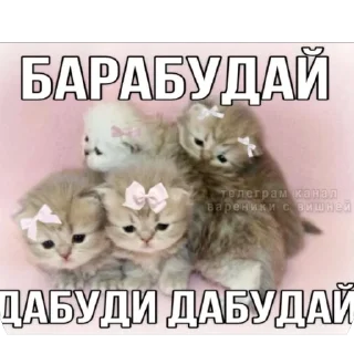 Стикер Китики KB_Wing @StickersPackRobot - 10