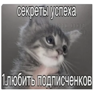 Стикер Китики KB_Wing @StickersPackRobot - 9