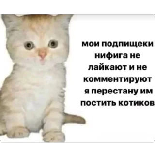 Стикер Китики KB_Wing @StickersPackRobot - 4
