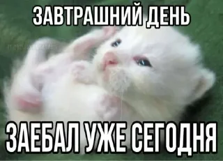 Стикер I'm cringe @StickersPackRobot - 2
