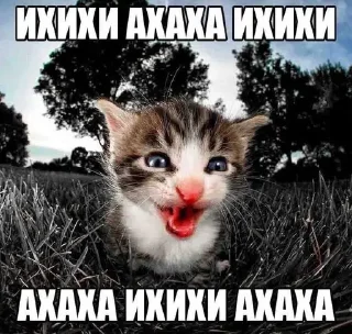 Стикер I'm cringe @StickersPackRobot - 11