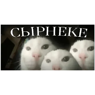 Стикер СЫРНЕКЕ - 4