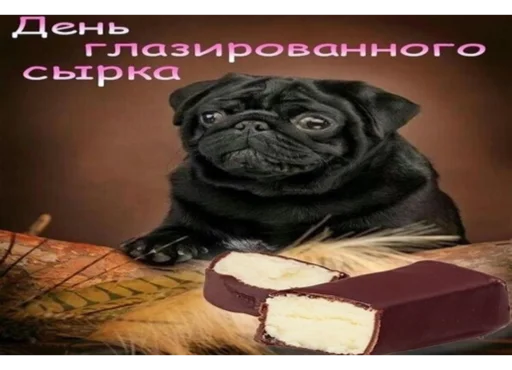 С днем😃 (@Tifidda) С днем😃 (@Tifidda) -