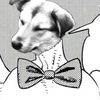 SABAKATRANSLATE SABAKATRANSLATE -