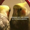 Страдания на МатМехе Страдания на МатМехе -