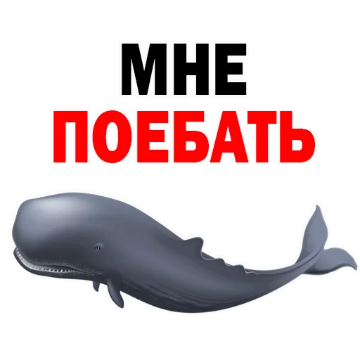 СМС СМС морские млекопитающие рыба