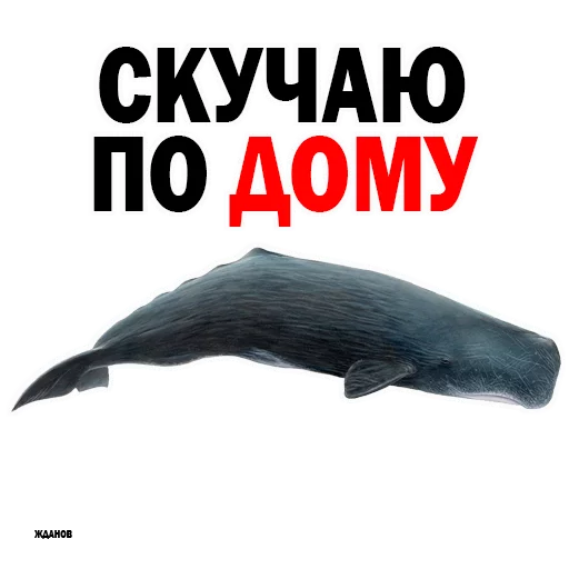 СМС СМС плакат иллюстрация