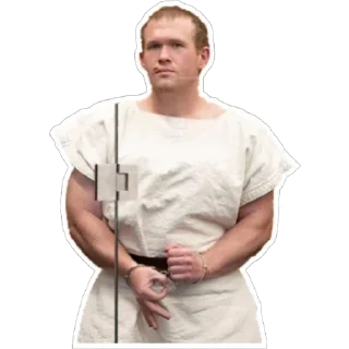 Sticker Brenton Tarrant - 2