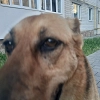 Сольовики Сольовики -