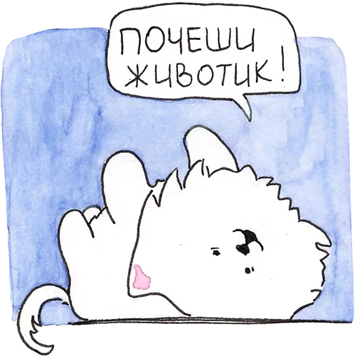Самоедик Ачи Самоедик Ачи -