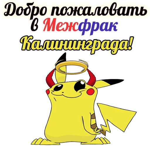 СантаКалининградГо СантаКалининградГо -