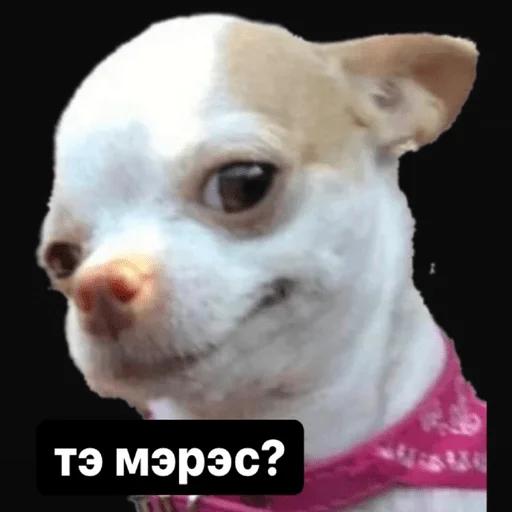 Sticker Русланчик - 5