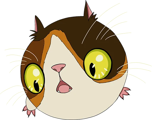 Scampuss/Sunekosuri Scampuss/Sunekosuri -