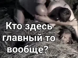 Sticker Голова @Temyrobot - 2