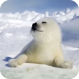 Стикер seals by @inteakiss ✮ - 0