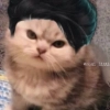Сэми Сэми -