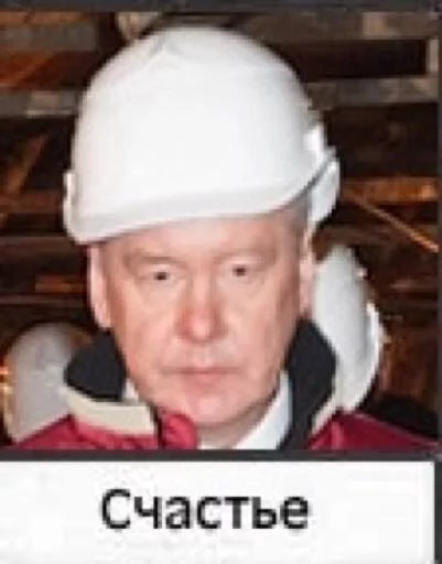 Sobyanin Sobyanin -